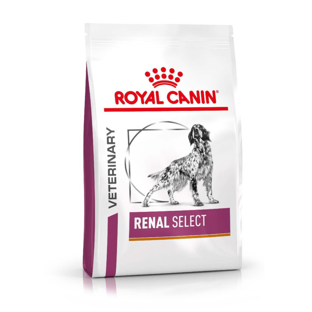 Royal Canin Early Renal Adult Wet Dog Food Thin Slices In Gravy 48x100g