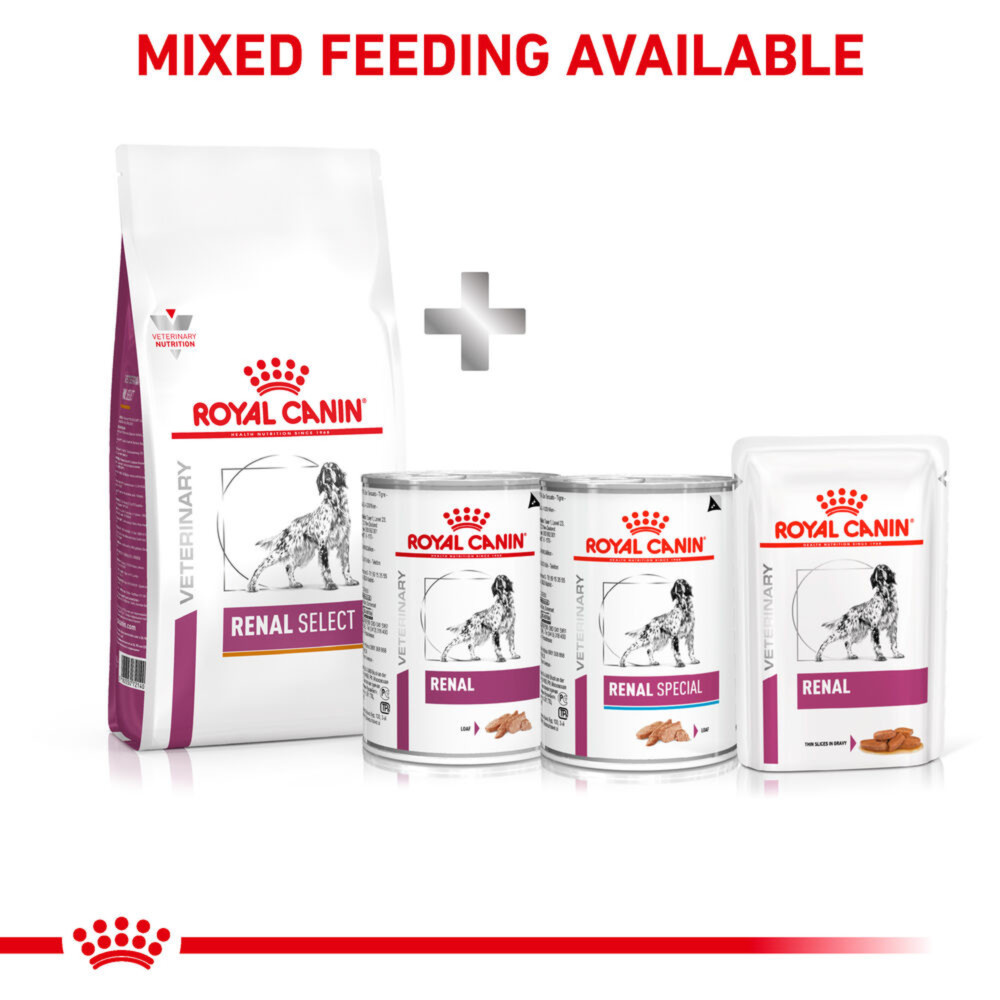 Royal Canin Early Renal Adult Wet Dog Food Thin Slices In Gravy 48x100g