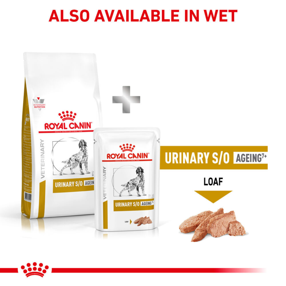 Royal Canin Gastrointestinal Adult Dry Dog Food 15kg