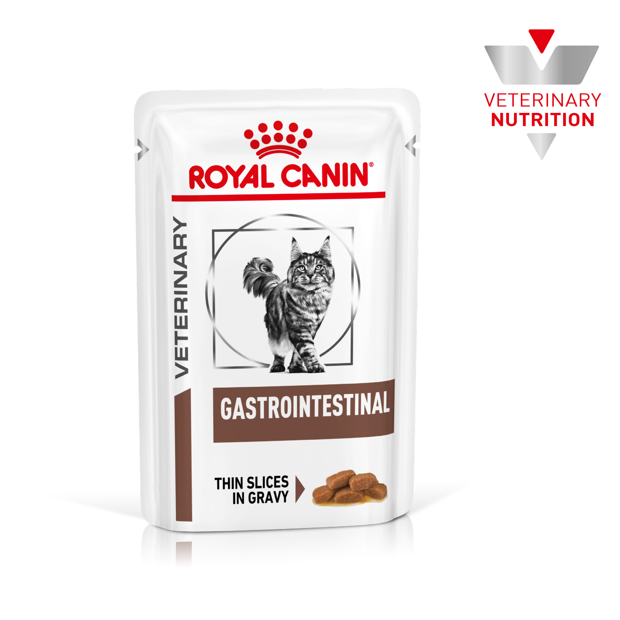 Royal Canin Gastrointestinal Adult Wet Cat Food Thin Slices In Gravy 48x85g