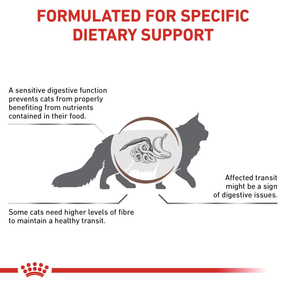 Royal Canin Gastrointestinal Fibre Response Adult Dry Cat Food 4kg