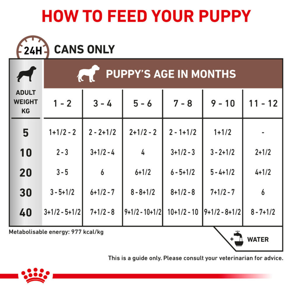 Royal Canin Gastrointestinal Puppy Wet Food Ultra Soft Mousse 12x195g