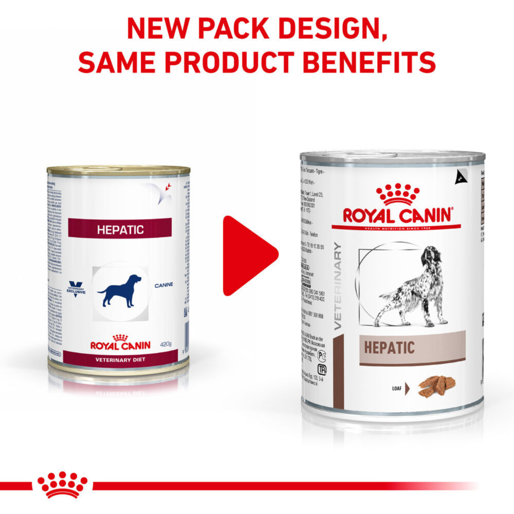 Royal Canin Hepatic Adult Wet Dog Food In Loaf 12x420g