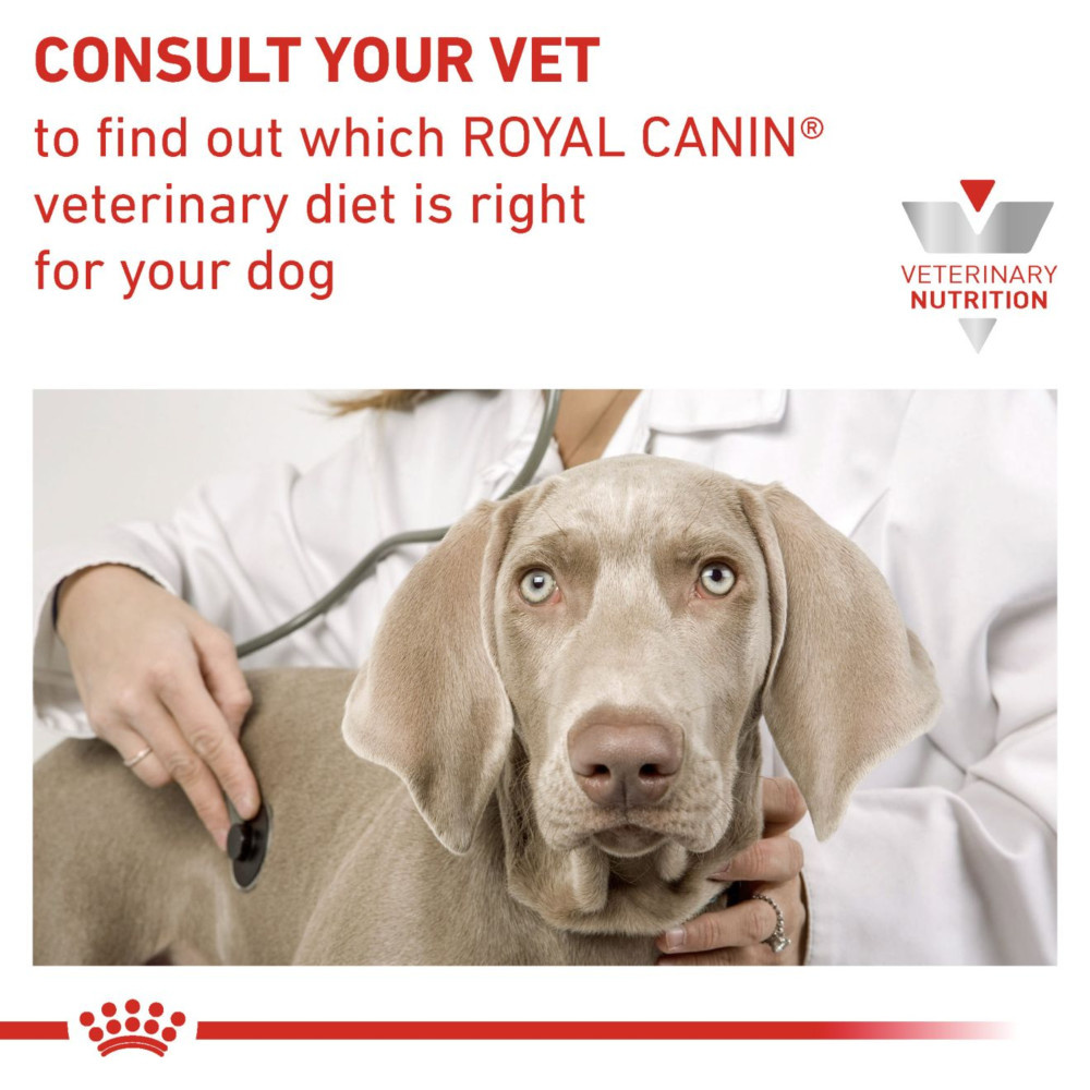 Royal Canin Hypoallergenic Adult Wet Dog Food In Loaf 12x400g