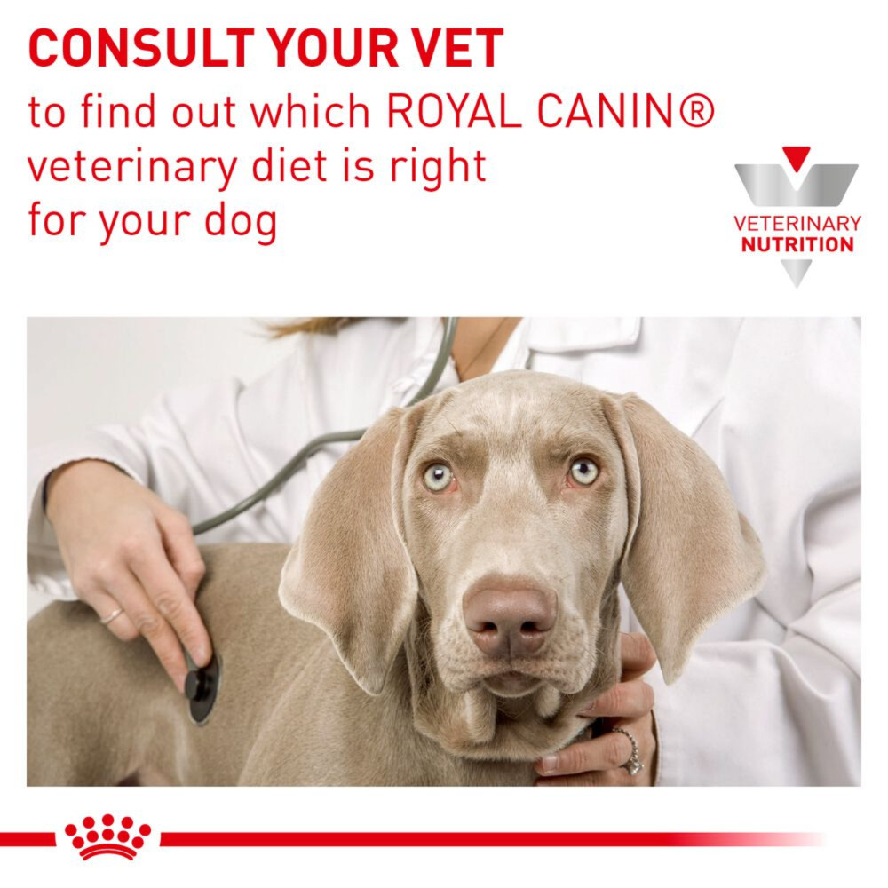 Royal Canin Mobility Support Adult Dry Dog Food 12kg