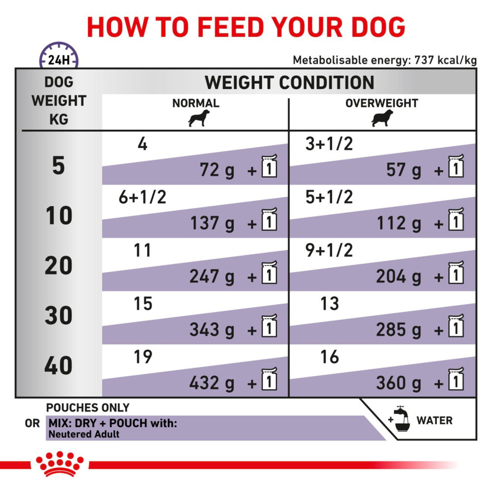 Royal Canin Neutered Adult Wet Dog Food Thin Slices In Gravy 48x100g