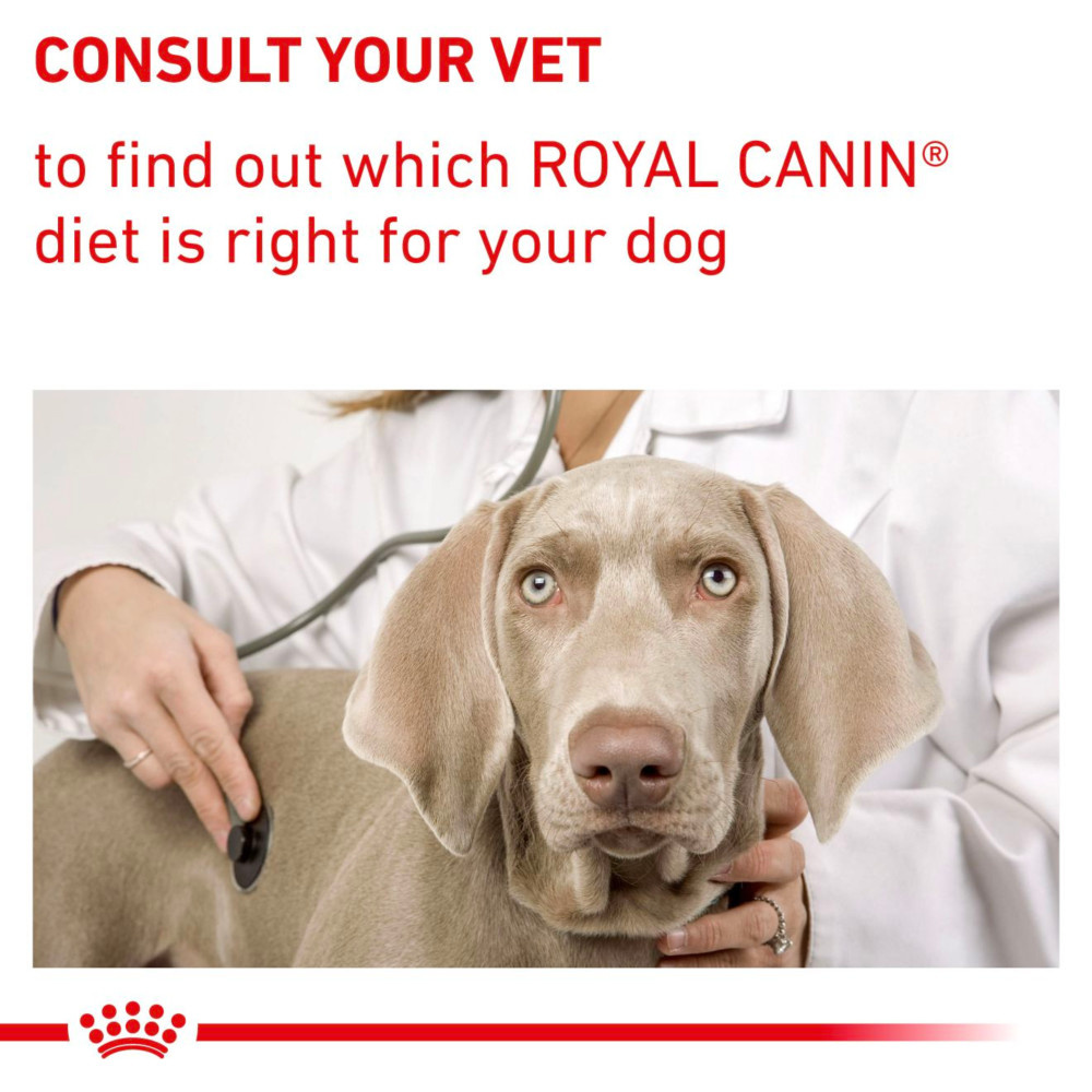 Royal Canin Neutered Junior Dry Dog Food 3.5kg