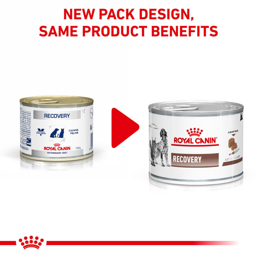 Royal Canin Recovery Cat & Dog Adult Wet Food Ultra Soft Mousse 12x195g
