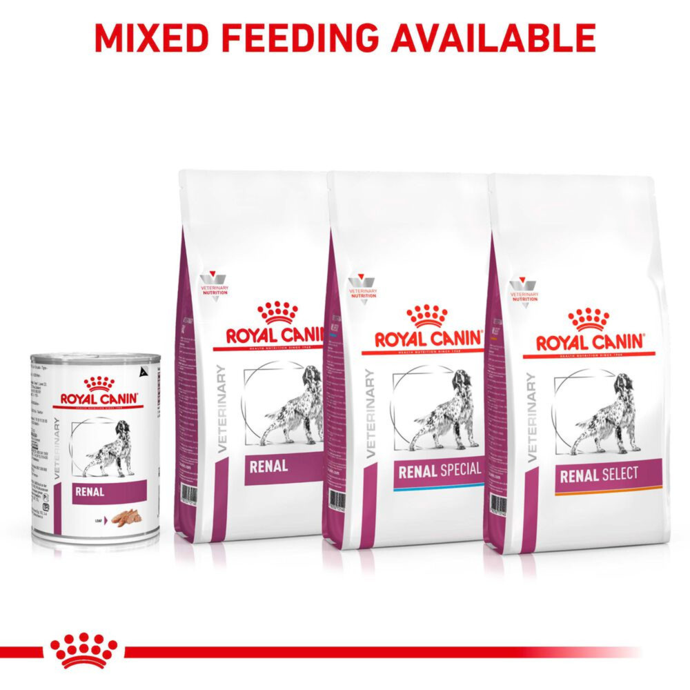 Royal Canin Renal Adult Wet Dog Food In Loaf 12x410g