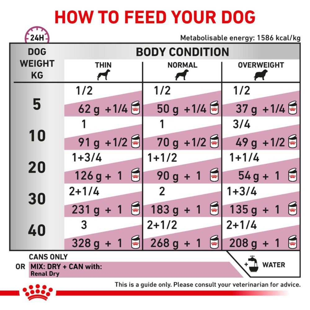 Royal Canin Renal Adult Wet Dog Food In Loaf 12x410g