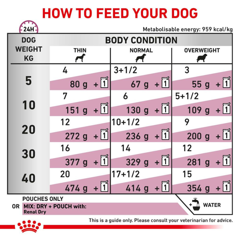 Royal Canin Renal Adult Wet Dog Food Thin Slices In Gravy 48x100g