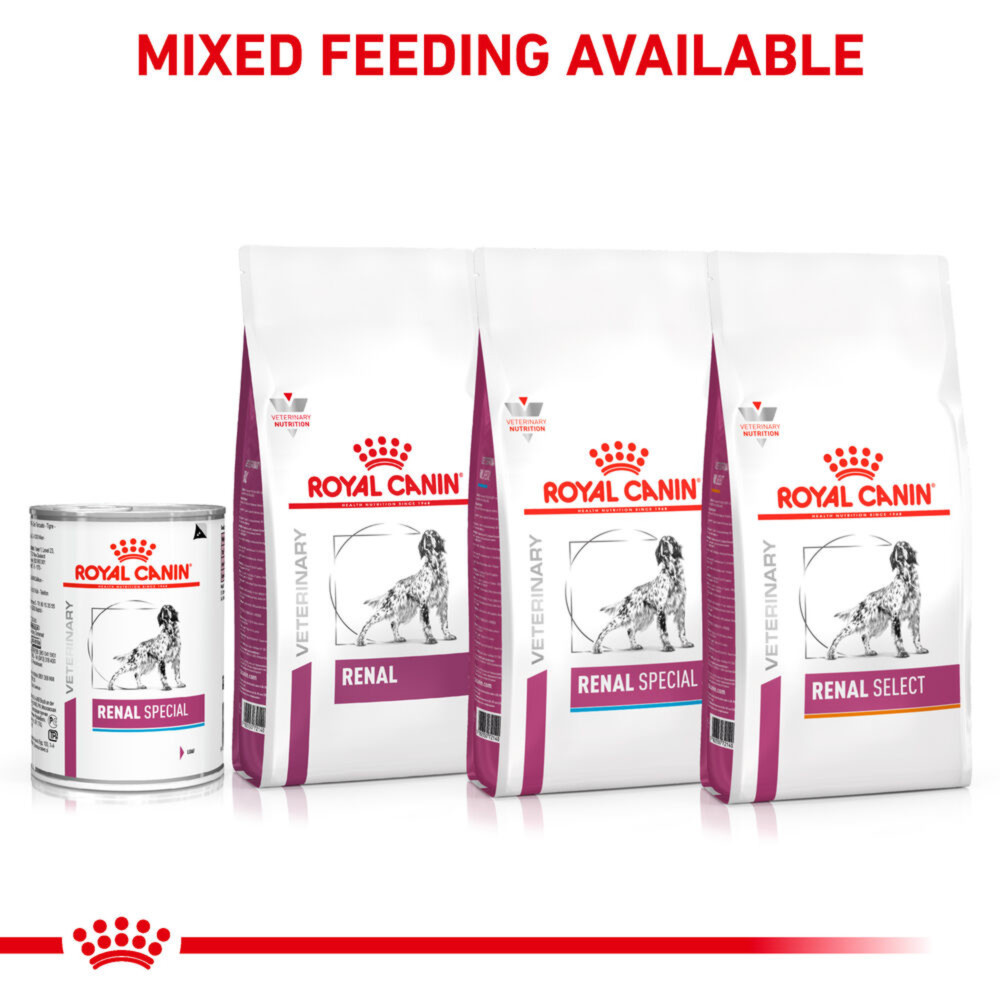 Royal Canin Renal Special Adult Wet Dog Food In Loaf 12x410g