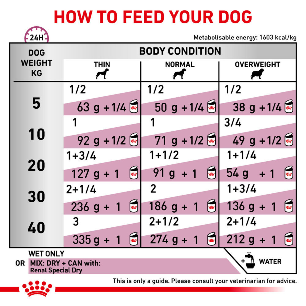 Royal Canin Renal Special Adult Wet Dog Food In Loaf 12x410g
