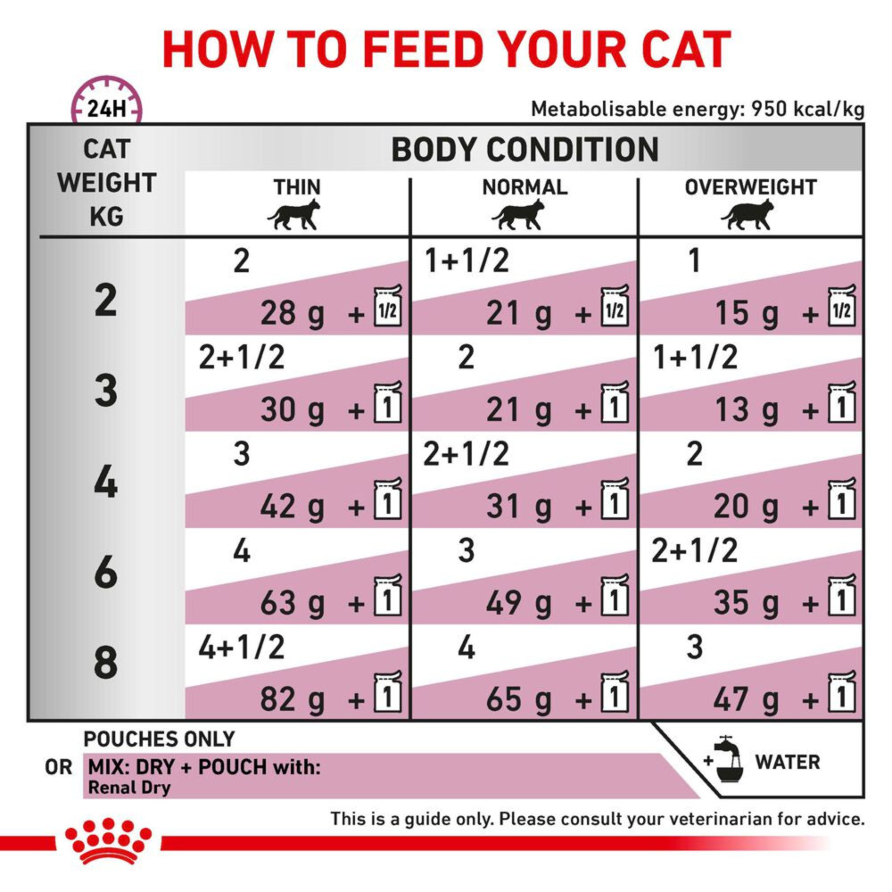 Royal Canin Renal With Fish Adult Wet Cat Food Thin Slices In Gravy 48x85g