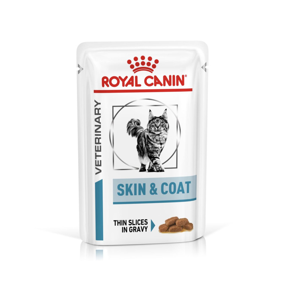 Royal Canin Skin & Coat Adult Wet Cat Food Thin Slices In Gravy 48x85g