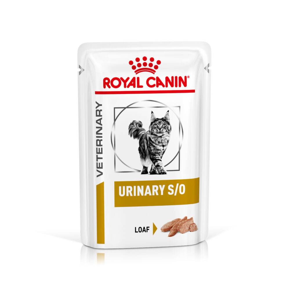 Royal Canin Urinary S/O Adult Wet Cat Food In Loaf 48x85g