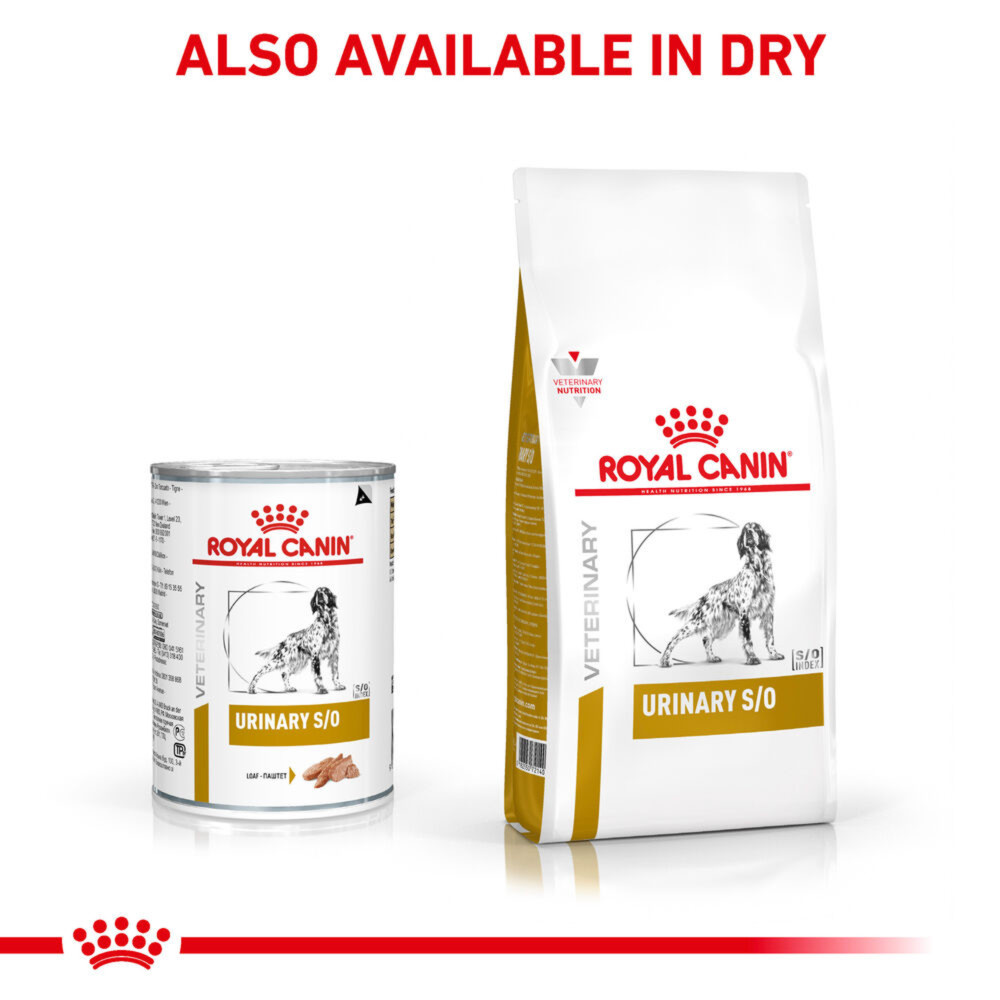 Royal Canin Urinary S/O Adult Wet Dog Food In Loaf 12x410g