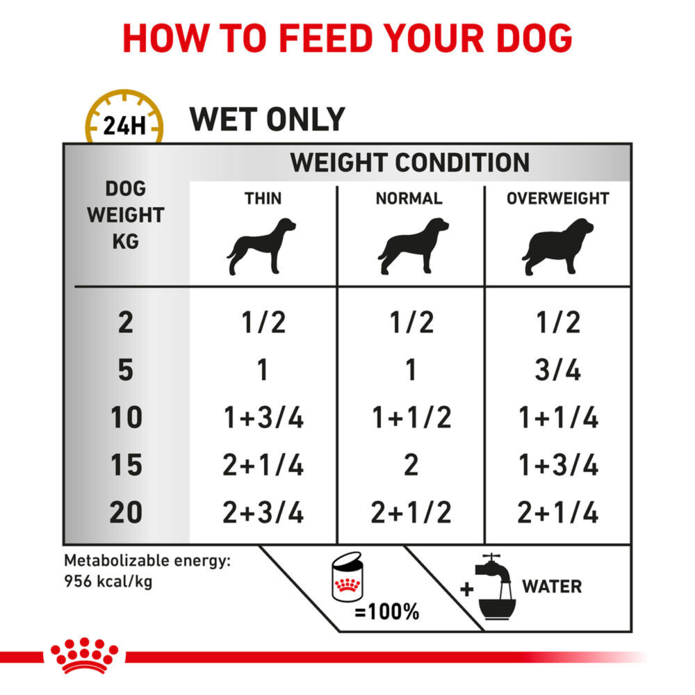 Royal Canin Urinary S/O Adult Wet Dog Food In Loaf 12x410g