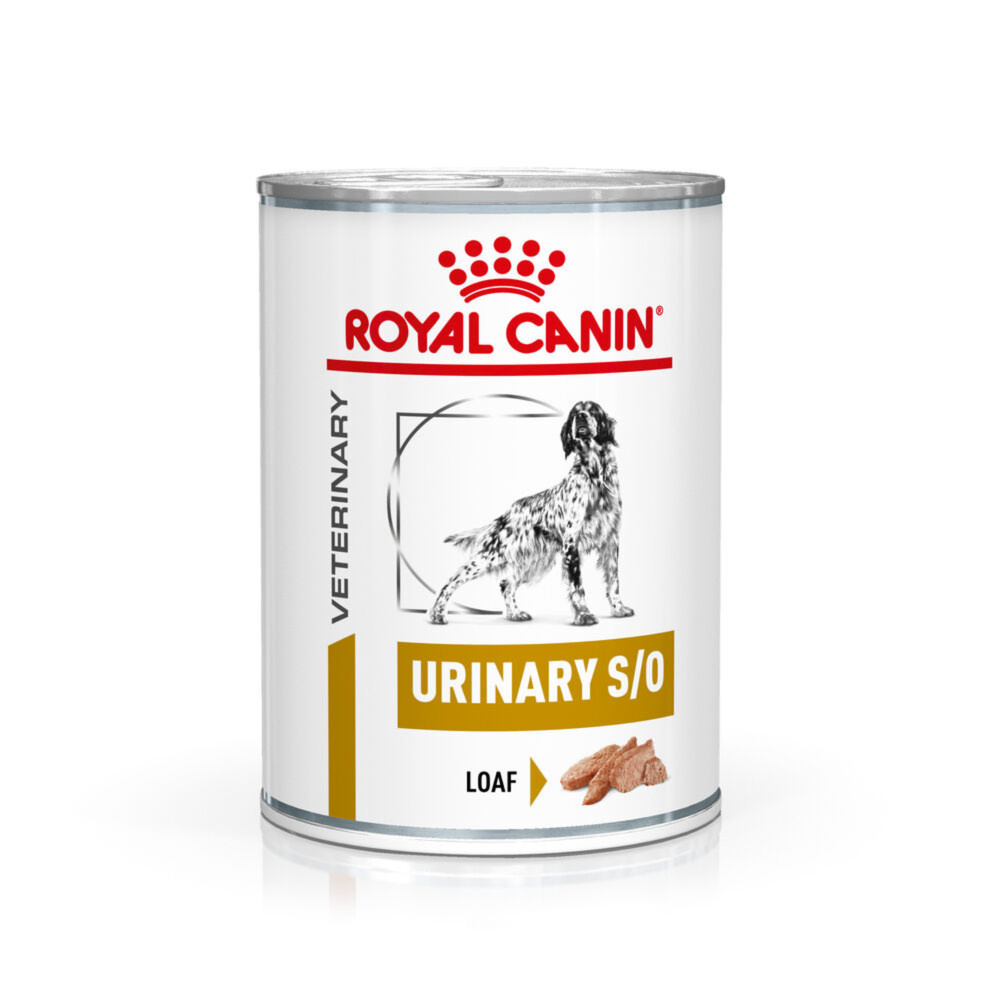 Royal Canin Urinary S/O Adult Wet Dog Food In Loaf 12x410g