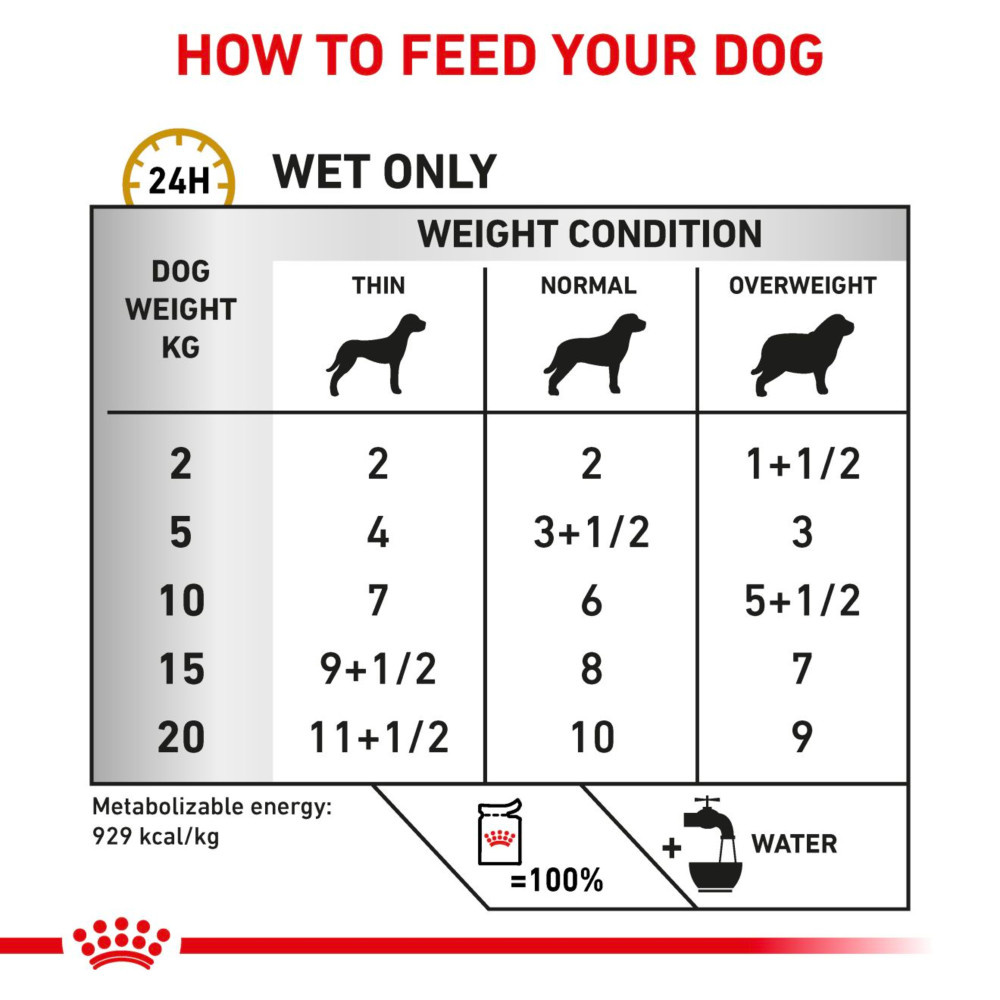Royal Canin Urinary S/O Adult Wet Dog Food Thin Slices In Gravy 48x100g