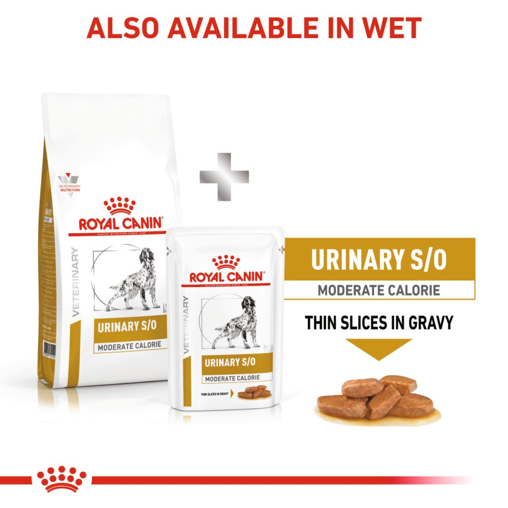 Royal Canin Urinary S/O Moderate Calorie Adult Dry Dog Food 6.5kg