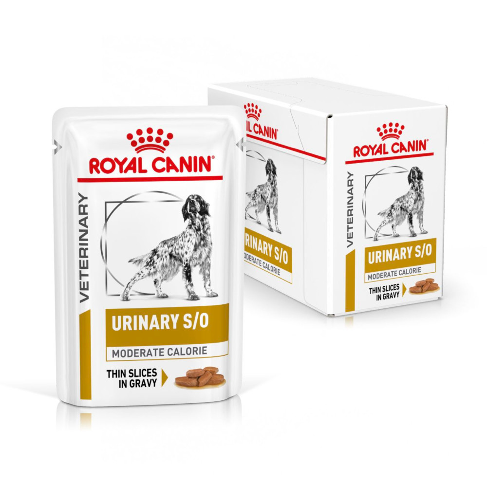 Royal Canin Urinary S/O Moderate Calorie Adult Wet Dog Food In Gravy 48x100g
