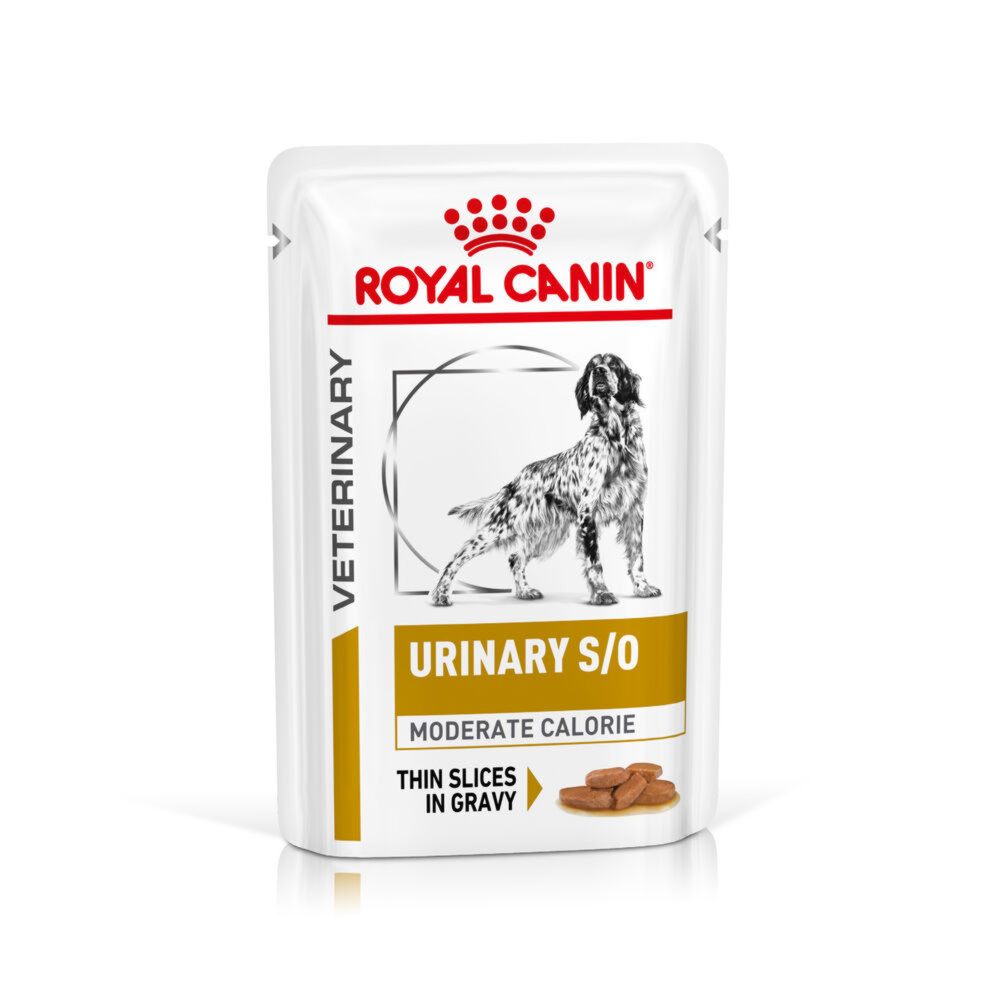 Royal Canin Urinary S/O Moderate Calorie Adult Wet Dog Food In Gravy 48x100g