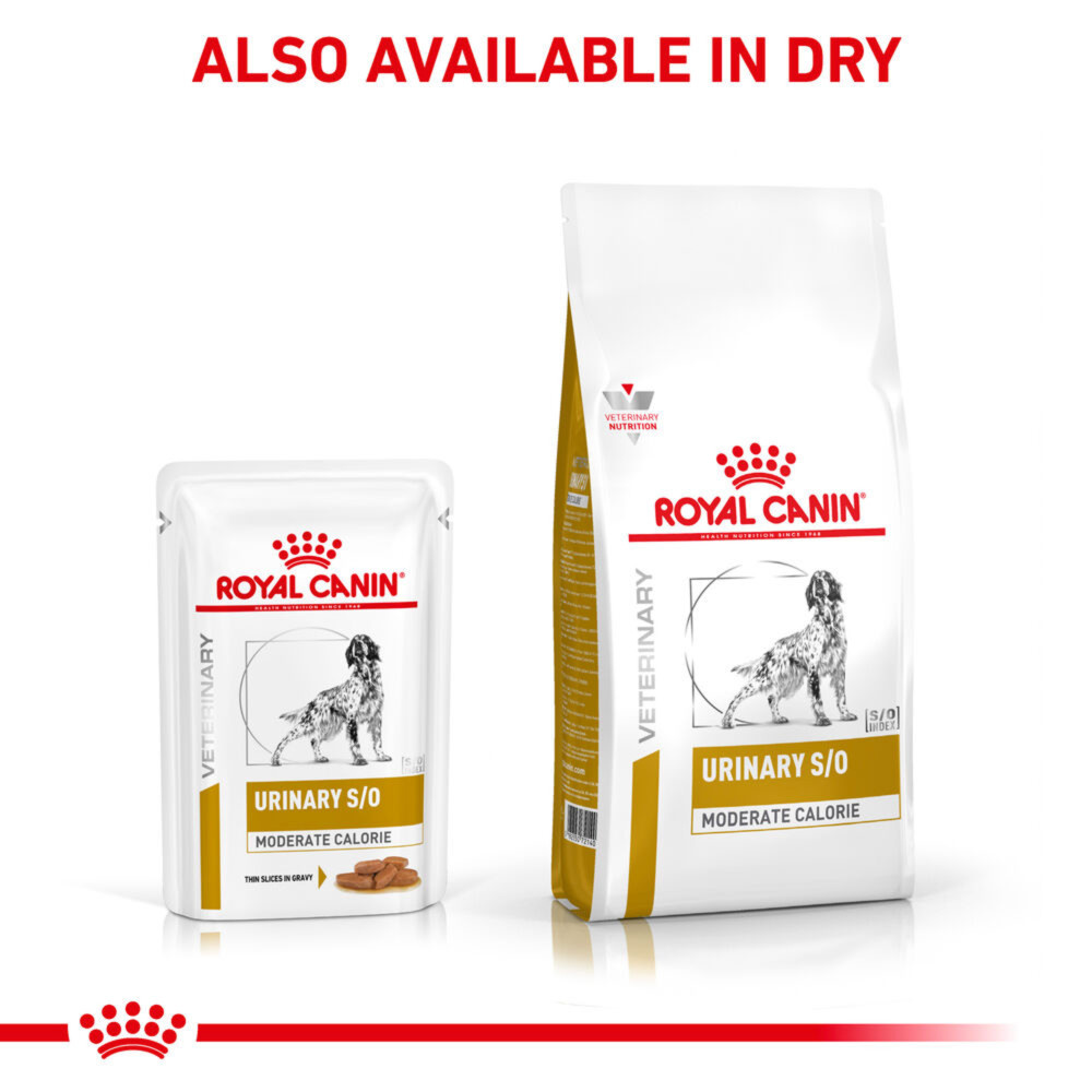 Royal Canin Urinary S/O Moderate Calorie Adult Wet Dog Food In Gravy 48x100g