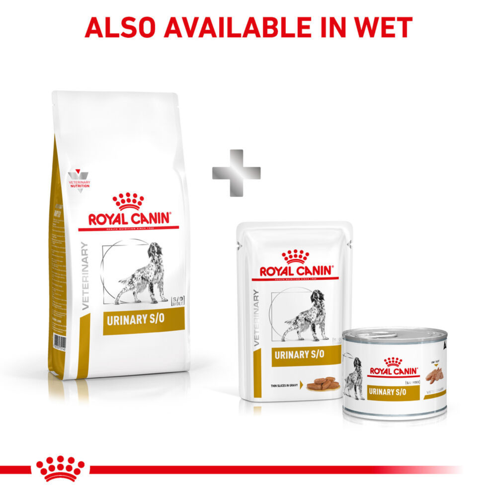 Royal Canin Urinary S/O Moderate Calorie Adult Wet Dog Food In Gravy 48x100g