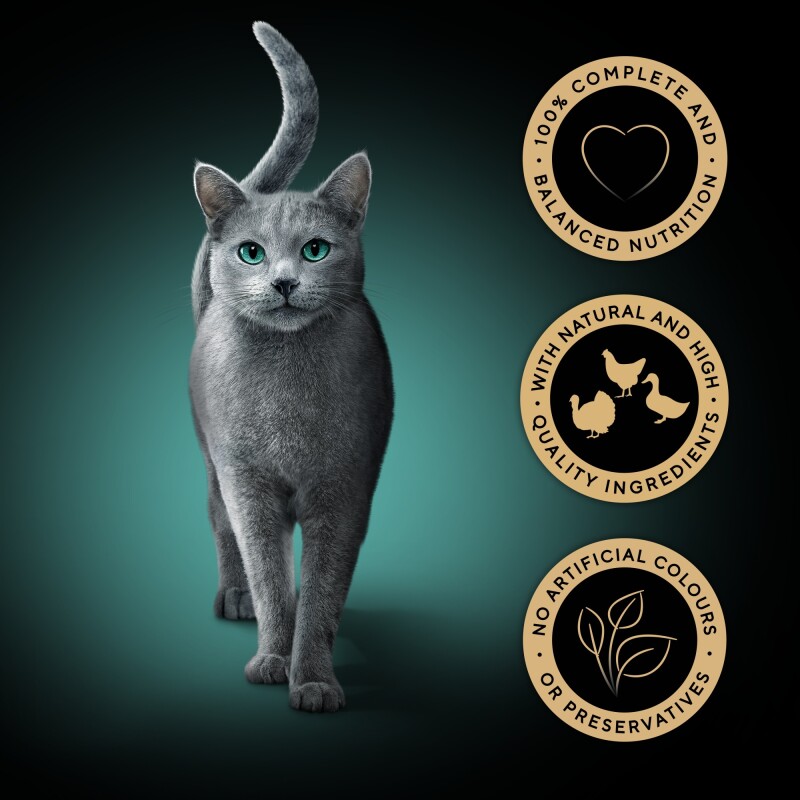 SHEBA Fresh Fine Wet Cat Food Pouch Poultry in Gravy