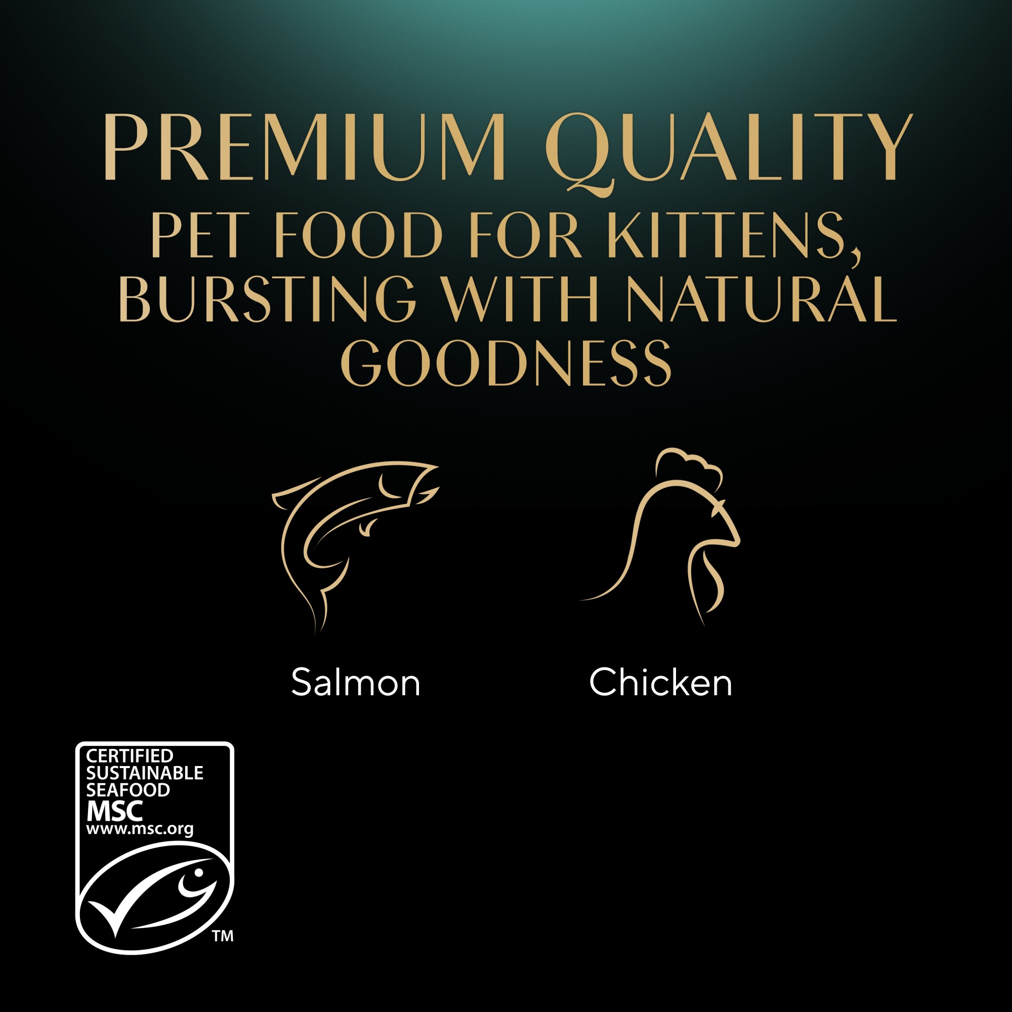 SHEBA Mixed Selection Kitten Wet Cat Food in Gravy 12 x 85g X 4 ( 48 Pouches )
