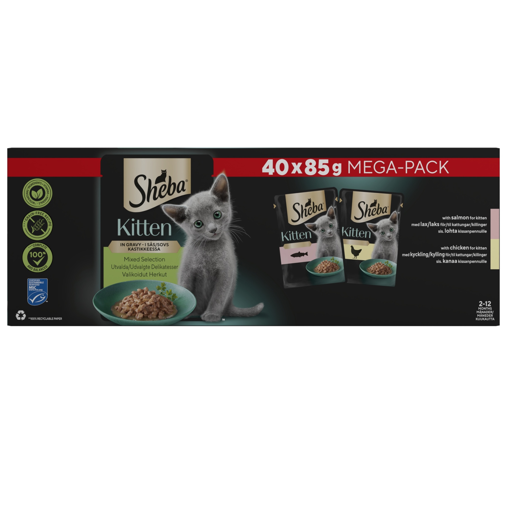 SHEBA Mixed Selection Kitten Wet Cat Food in Gravy 40 x 85g Pouch