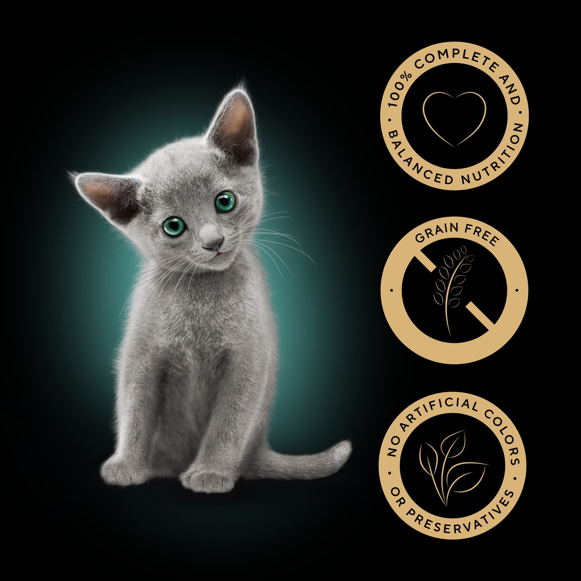 SHEBA Mixed Selection Kitten Wet Cat Food in Gravy 40 x 85g Pouch
