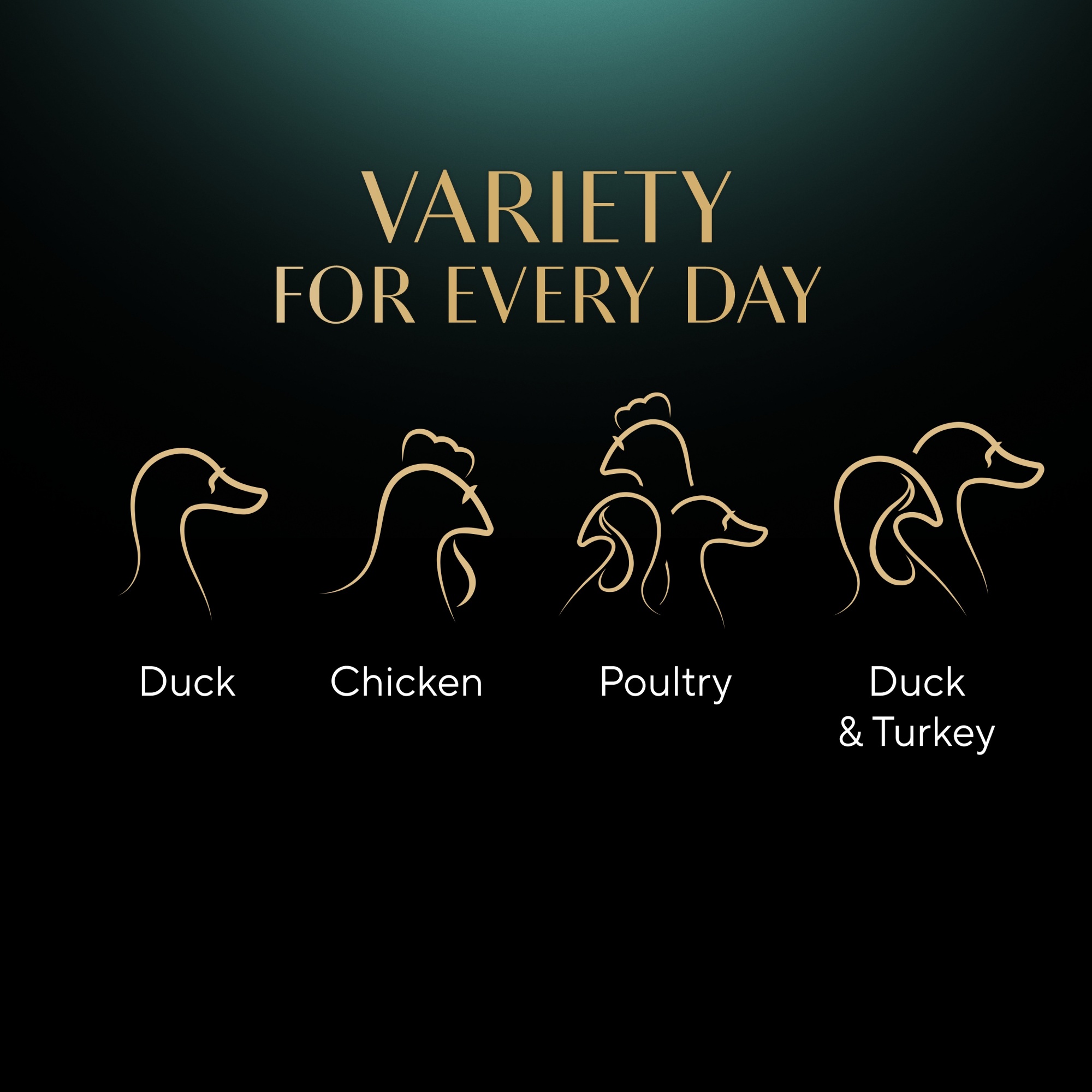 SHEBA Pouch Select Slices Poultry Collection In Gravy 12 x 85g