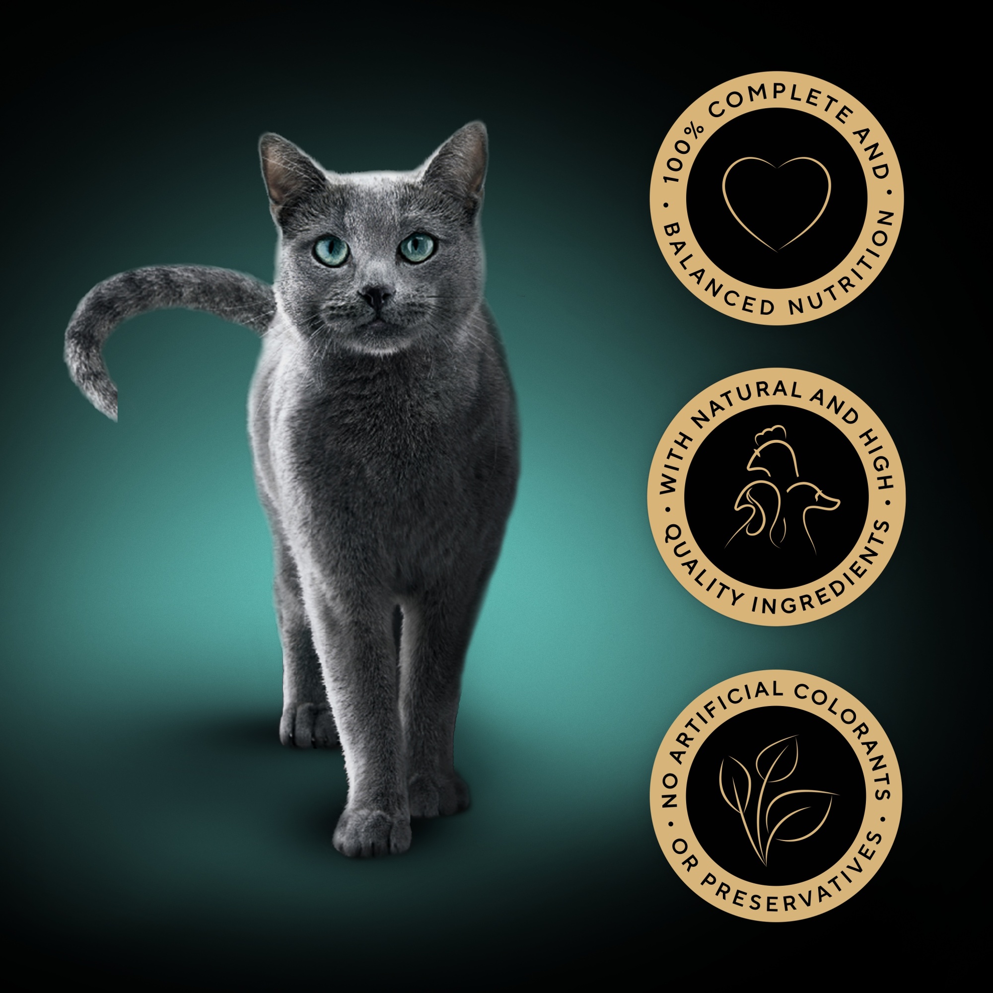 SHEBA Select Slices Adult Cat Food Poultry Selection in Gravy 40 x 85g