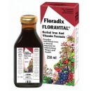 Salus Floravital Yeast & Gluten Free Liquid Iron Formula