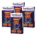 Sambucol Black Elderberry Immuno Forte