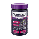  Sambucol Childrens Gummies 