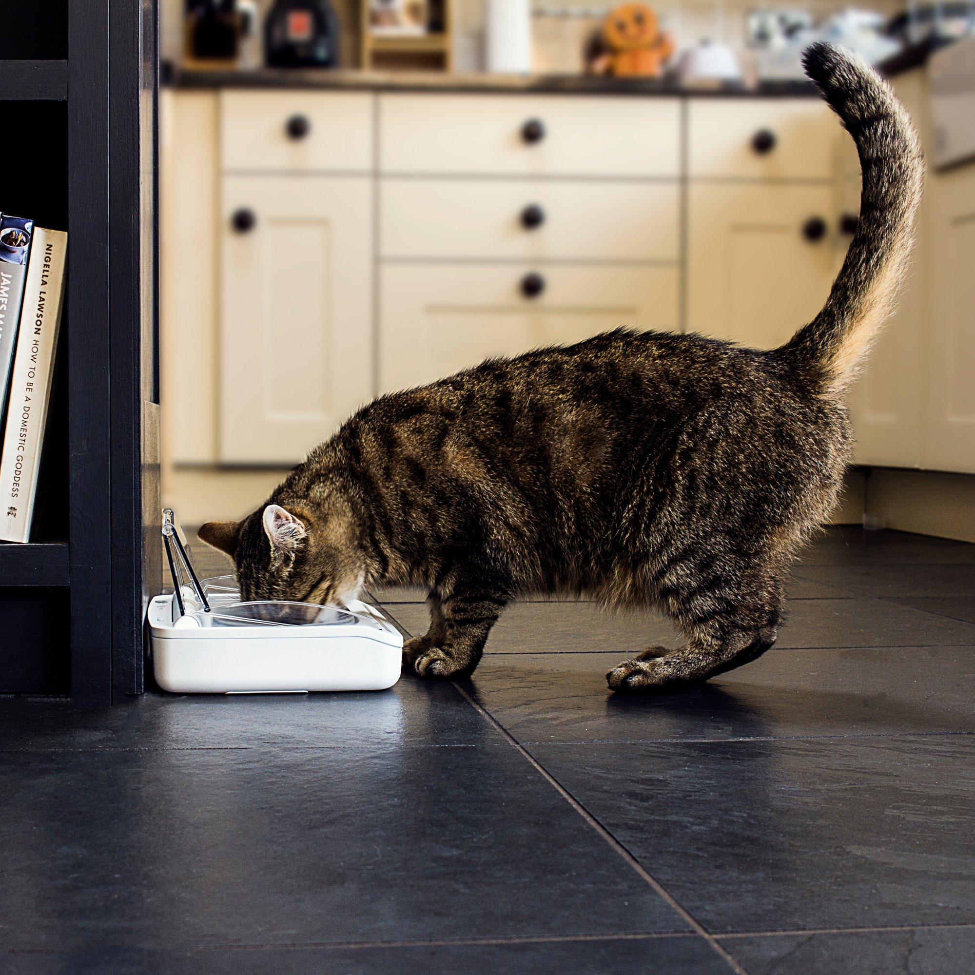 SureFeed Stainless Steel Bowl Set - 2 pack