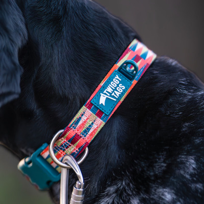 Twiggy Tags Dog Comfort Collar - Elixir 