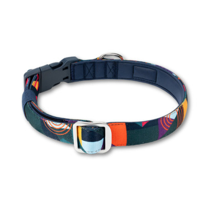 Twiggy Tags Dog Comfort Collar - Aurora 