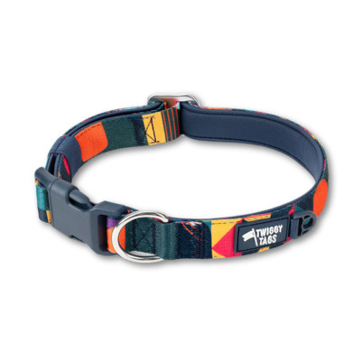 Twiggy Tags Dog Comfort Collar - Aurora 