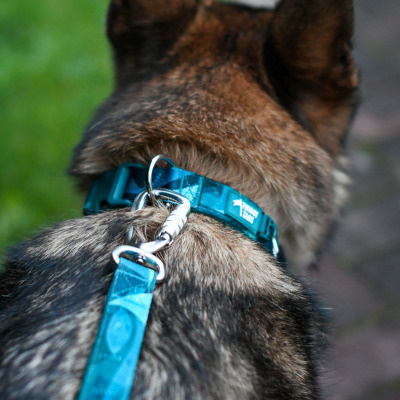 Twiggy Tags Dog Comfort Collar - Lagoon 