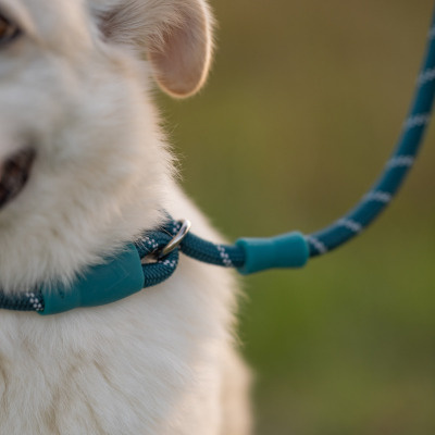 Twiggy Tags Dog Horizon Slip Lead - Elixir