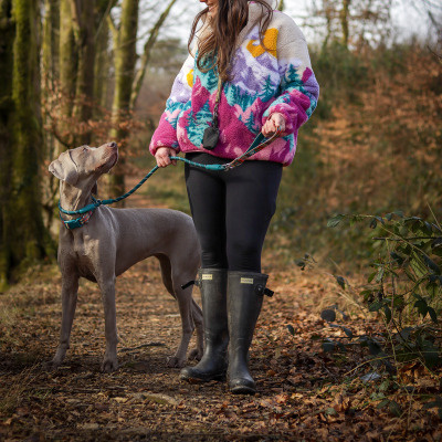 Twiggy Tags Dog Horizon Slip Lead - Elixir