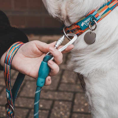 Twiggy Tags Dog Twiggy Tags Dog Horizon Rope Lead - Elixir