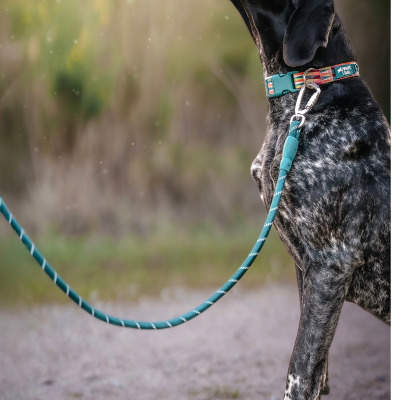 Twiggy Tags Dog Twiggy Tags Dog Horizon Rope Lead - Elixir