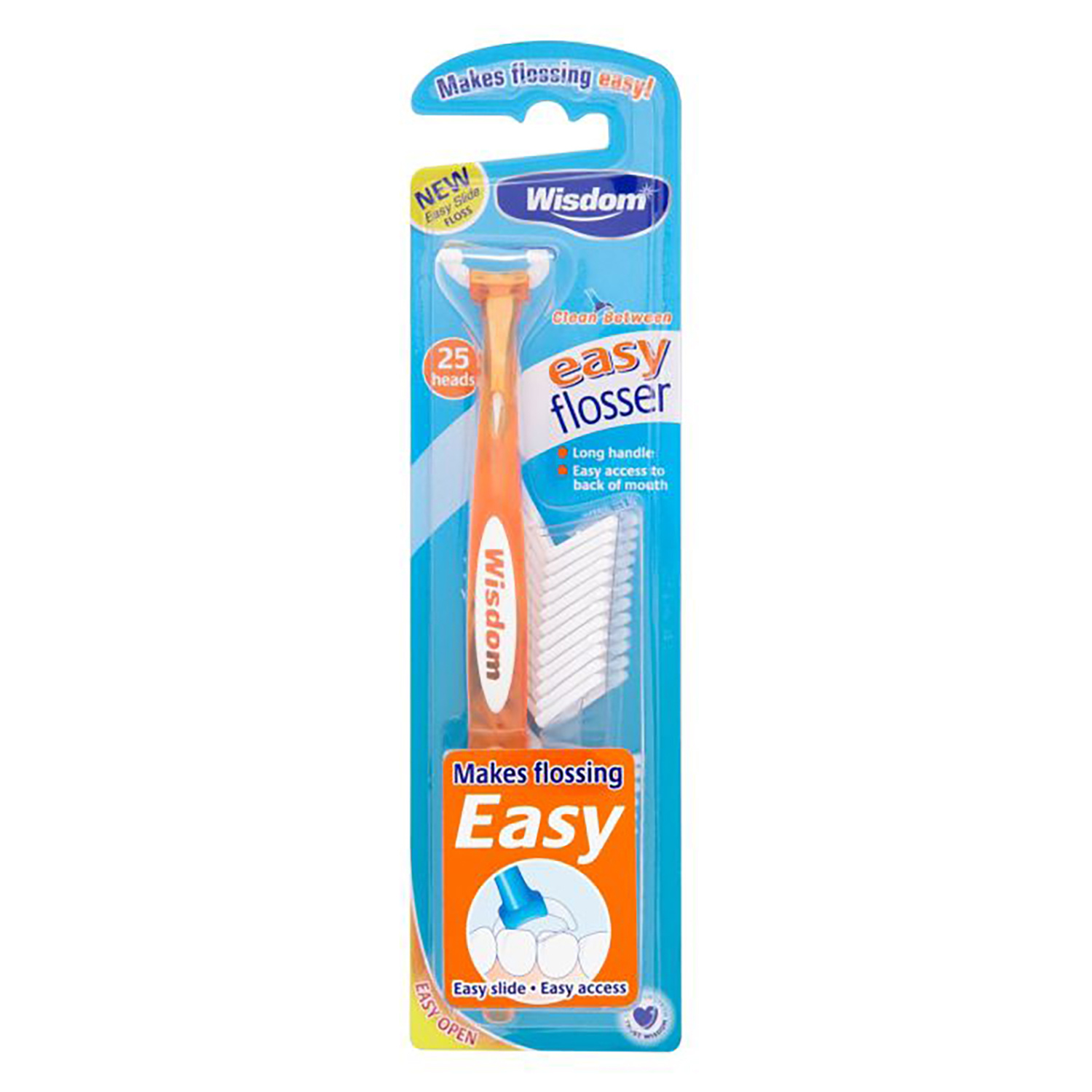 Wisdom Easy Floss Daily Flosser