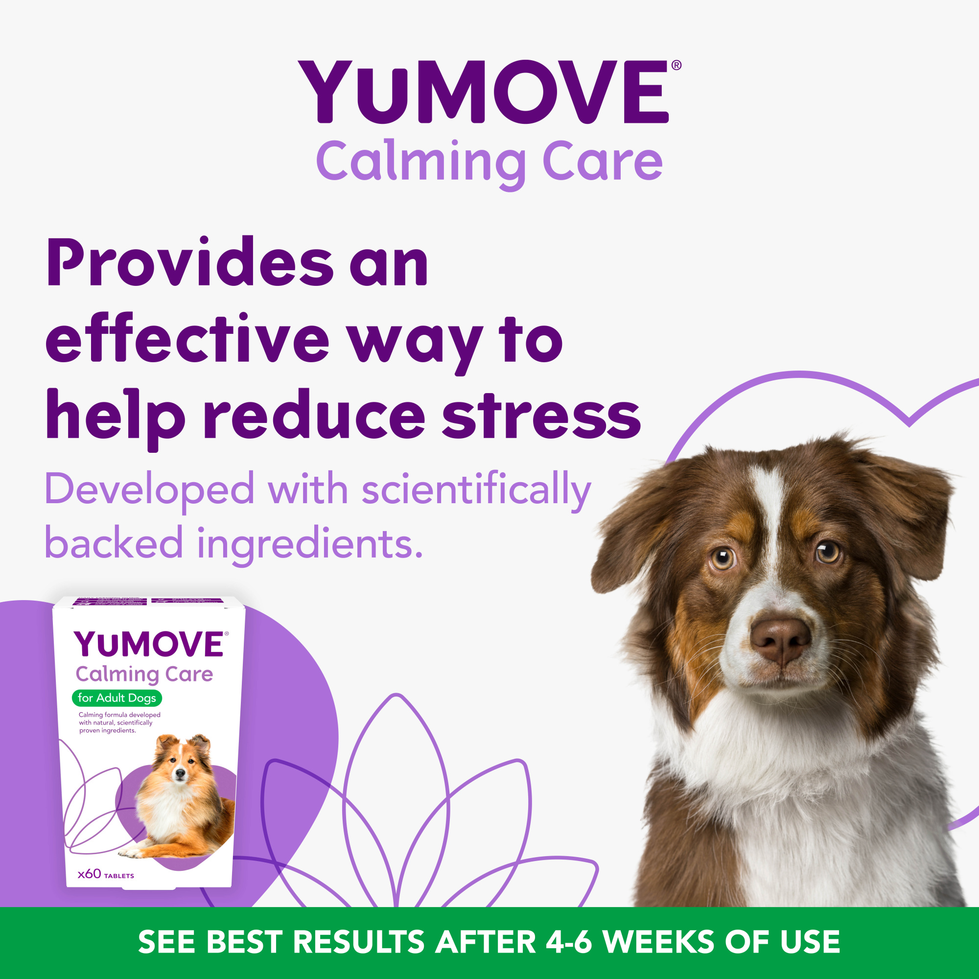 YuMOVE Calming Care Tablets for Dogs 