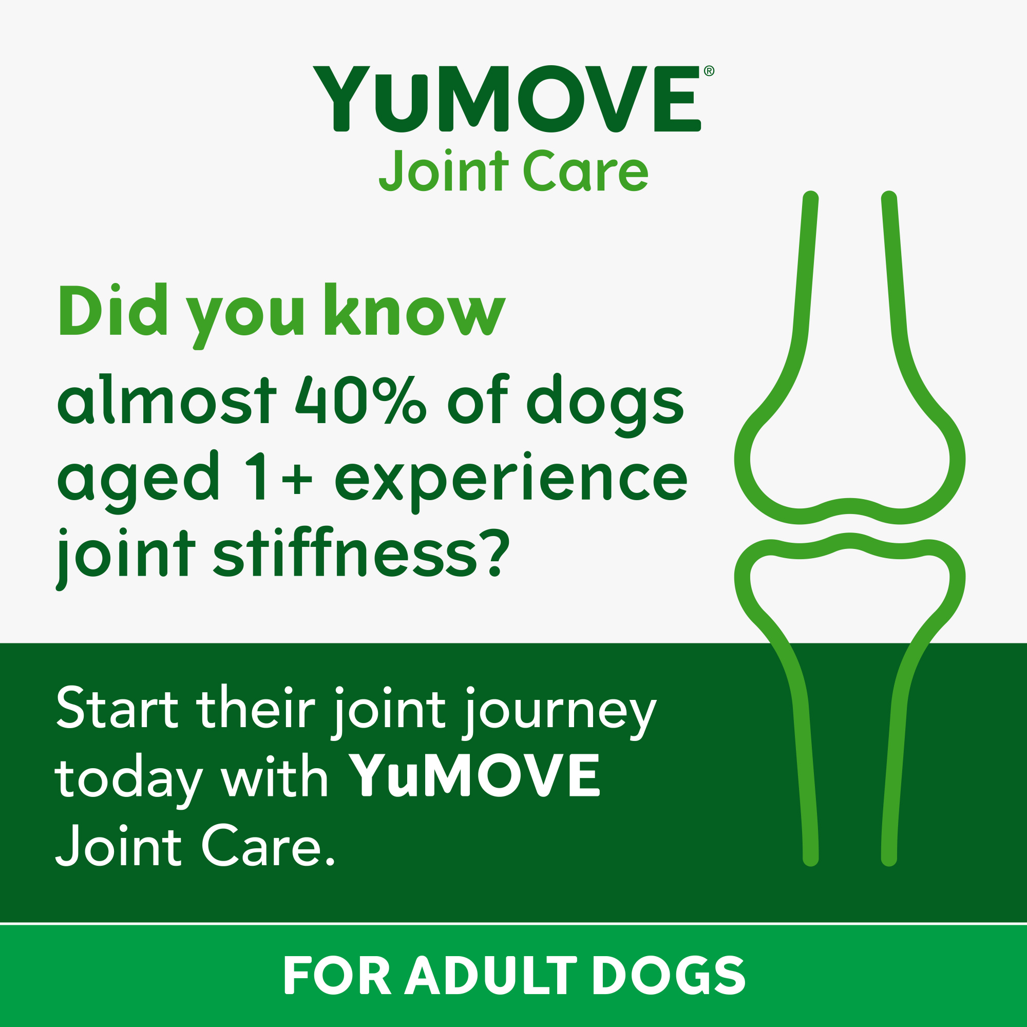 YuMOVE Joint Care Adult Dog 